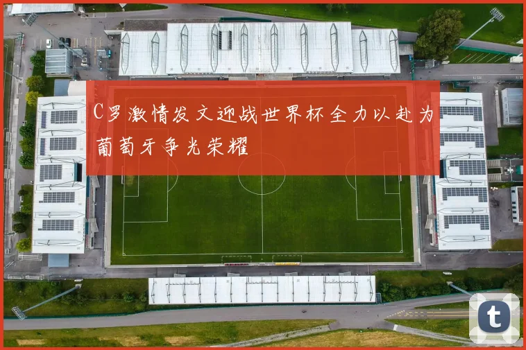 C罗激情发文迎战世界杯全力以赴为葡萄牙争光荣耀