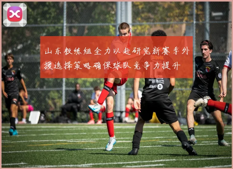 山东教练组全力以赴研究新赛季外援选择策略确保球队竞争力提升