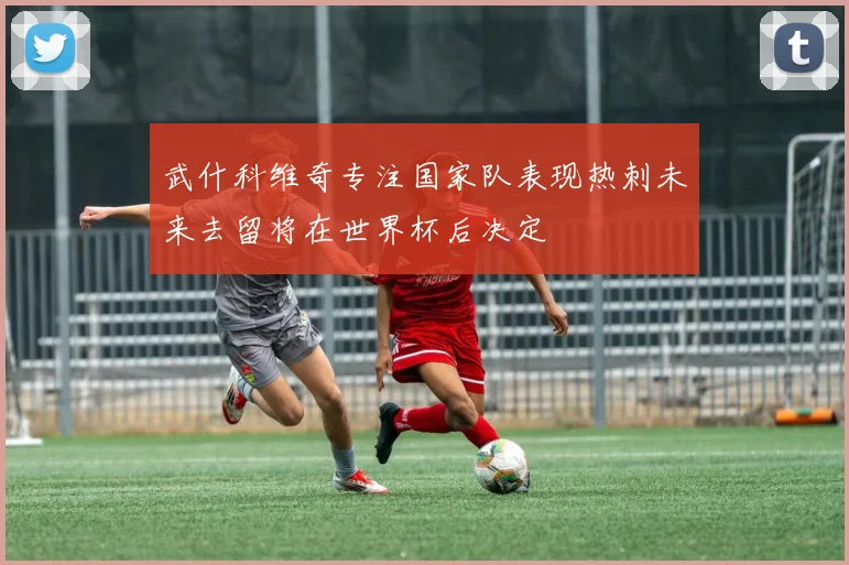 武什科维奇专注国家队表现热刺未来去留将在世界杯后决定
